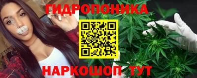 кокс Можга