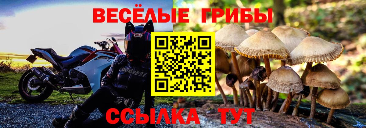 Псилоцибиновые грибы GOLDEN TEACHER Уварово